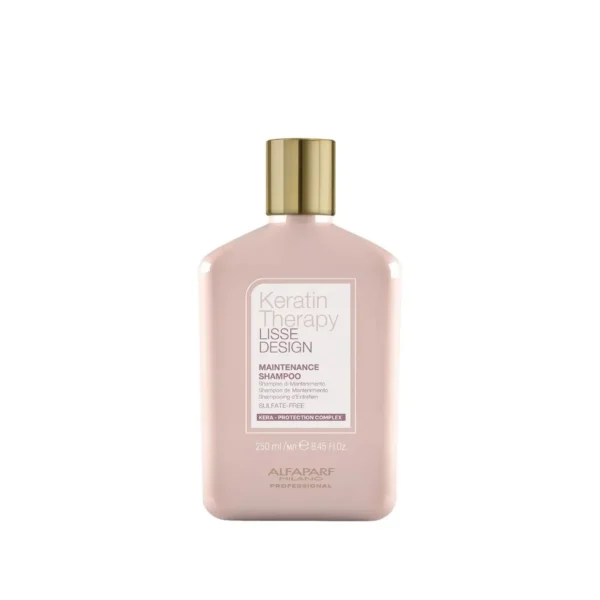 Lisse Design Maintenance Shampoo 250ml